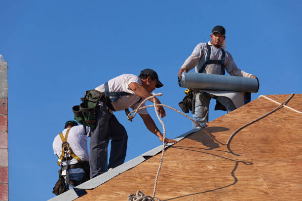 Roof Gutter Cleaning in Walker Mill, MD