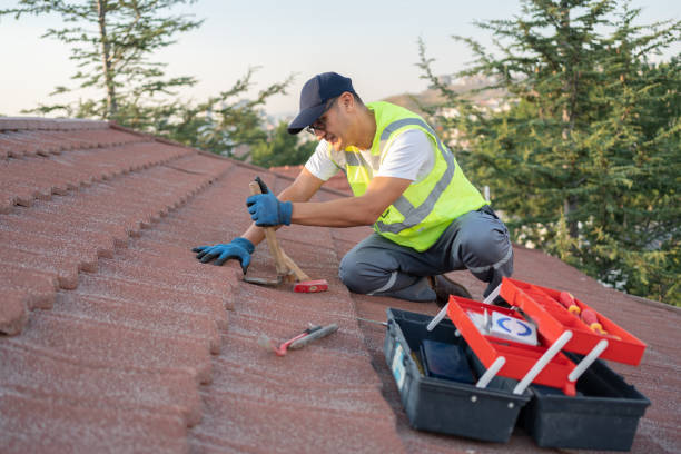 Sealant for Roof in Walker Mill, MD