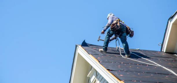 Best Roof Gutter Cleaning  in Walker Mill, MD